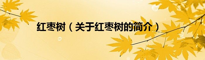 紅棗樹（關(guān)于紅棗樹的簡(jiǎn)介）