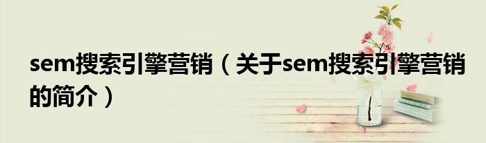 sem搜索引擎營銷（關于sem搜索引擎營銷的簡介）