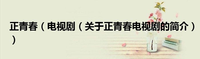 正青春（電視?。P于正青春電視劇的簡介））