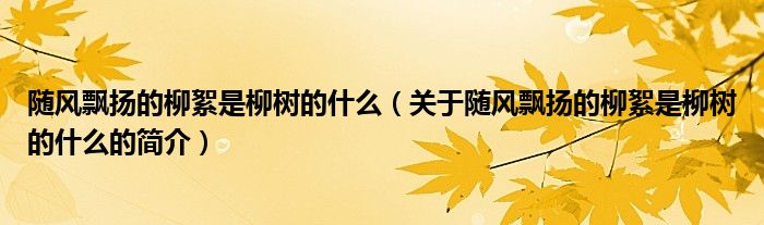 隨風飄揚的柳絮是柳樹的什么（關于隨風飄揚的柳絮是柳樹的什么的簡介）