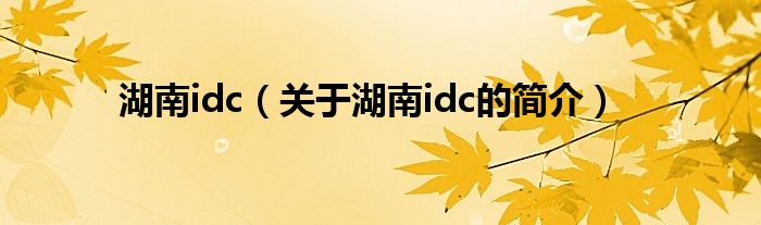 湖南idc（關(guān)于湖南idc的簡(jiǎn)介）