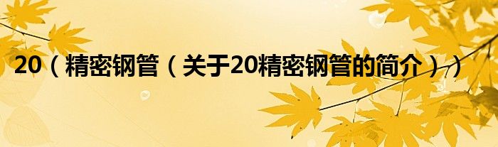 20（精密鋼管（關于20精密鋼管的簡介））