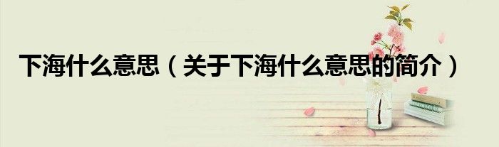 下海什么意思（關于下海什么意思的簡介）