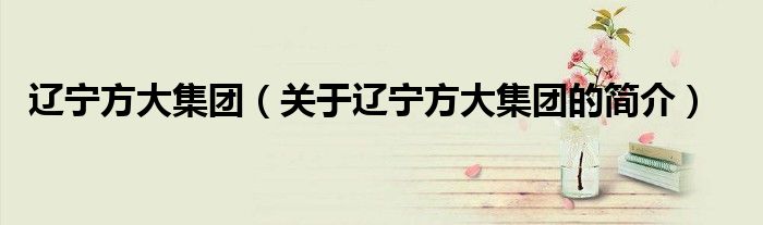 遼寧方大集團（關于遼寧方大集團的簡介）