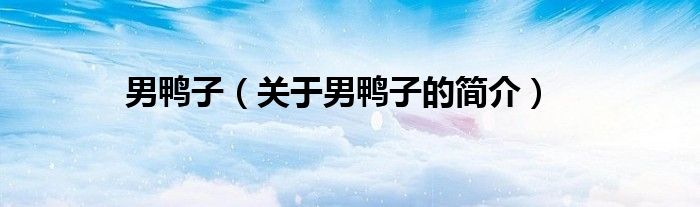 男鴨子（關于男鴨子的簡介）