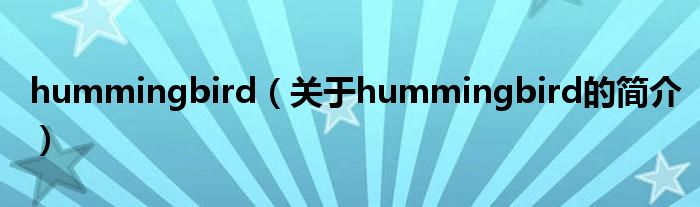 hummingbird（關于hummingbird的簡介）