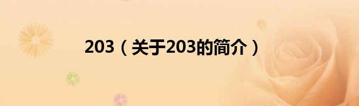 203（關于203的簡介）