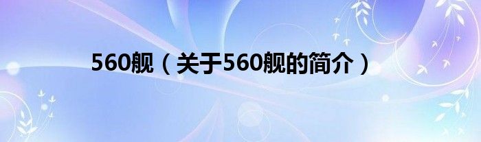 560艦（關于560艦的簡介）