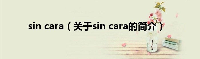 sin cara（關于sin cara的簡介）