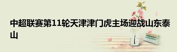 中超聯賽第11輪天津津門虎主場迎戰山東泰山