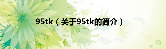 95tk（關(guān)于95tk的簡(jiǎn)介）