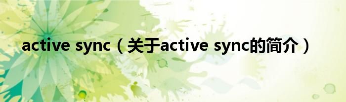 active sync（關于active sync的簡介）