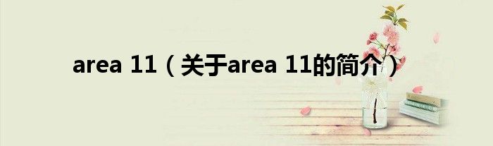 area 11（關于area 11的簡介）