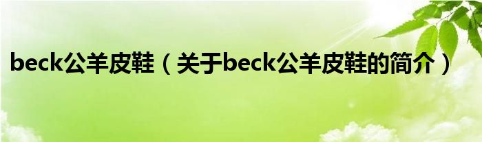 beck公羊皮鞋（關于beck公羊皮鞋的簡介）