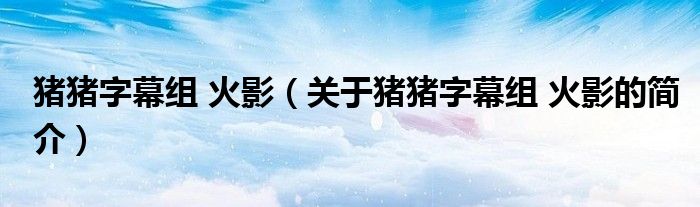 豬豬字幕組 火影（關于豬豬字幕組 火影的簡介）