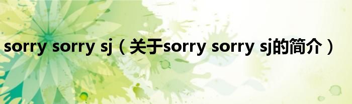 sorry sorry sj（關于sorry sorry sj的簡介）
