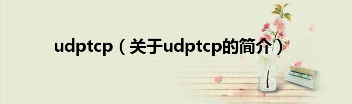 udptcp（關于udptcp的簡介）