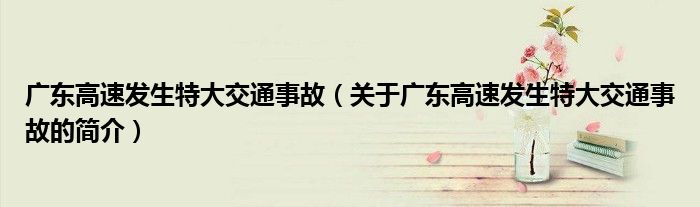 廣東高速發生特大交通事故（關于廣東高速發生特大交通事故的簡介）
