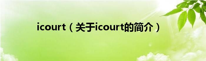 icourt（關于icourt的簡介）