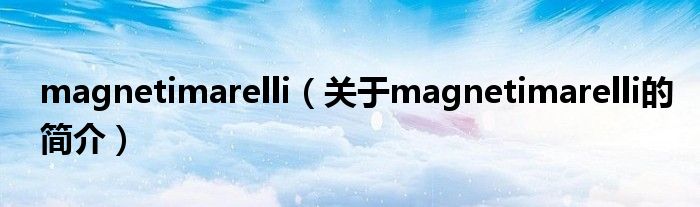 magnetimarelli（關于magnetimarelli的簡介）