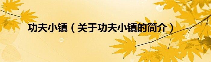功夫小鎮（關于功夫小鎮的簡介）