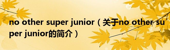 no other super junior（關于no other super junior的簡介）