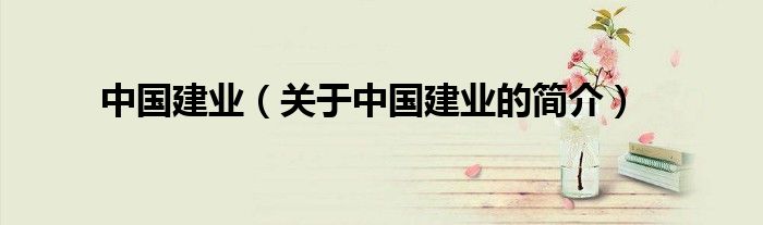 中國建業（關于中國建業的簡介）