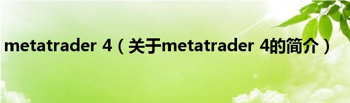 metatrader 4（關于metatrader 4的簡介）