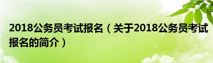 2018公務(wù)員考試報(bào)名（關(guān)于2018公務(wù)員考試報(bào)名的簡(jiǎn)介）