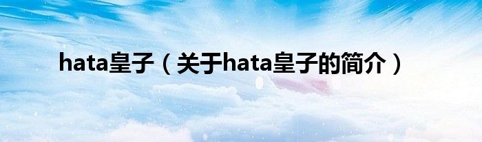 hata皇子（關于hata皇子的簡介）