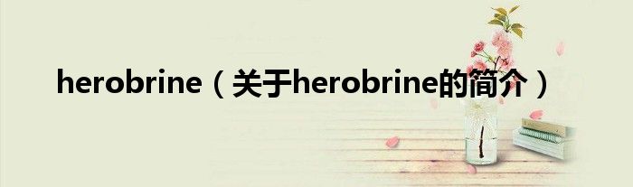 herobrine（關于herobrine的簡介）
