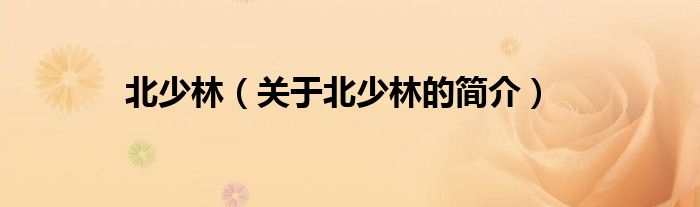 北少林（關(guān)于北少林的簡介）