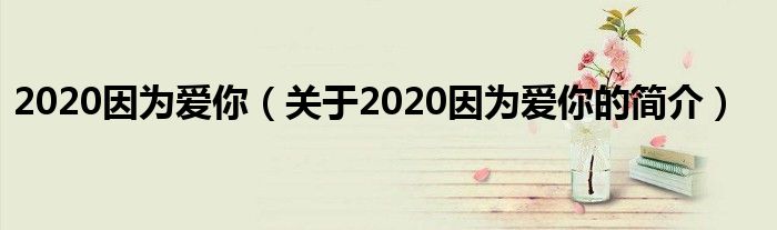 2020因?yàn)閻勰悖P(guān)于2020因?yàn)閻勰愕暮?jiǎn)介）