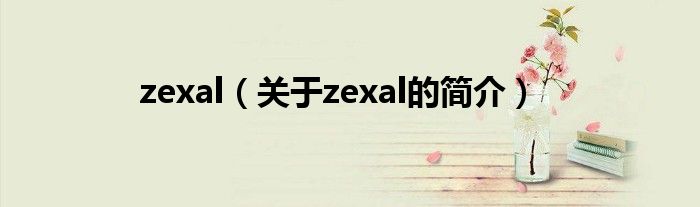 zexal（關于zexal的簡介）