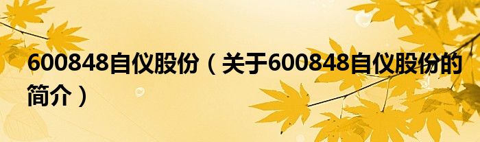 600848自儀股份（關于600848自儀股份的簡介）