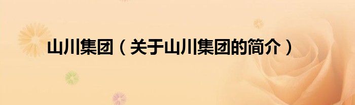 山川集團（關于山川集團的簡介）