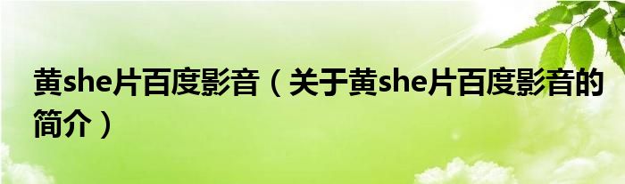 黃she片百度影音（關于黃she片百度影音的簡介）