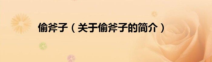 偷斧子（關于偷斧子的簡介）