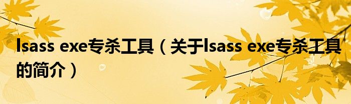 lsass exe專殺工具（關于lsass exe專殺工具的簡介）