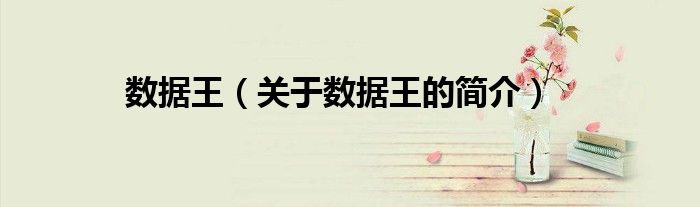 數據王（關于數據王的簡介）