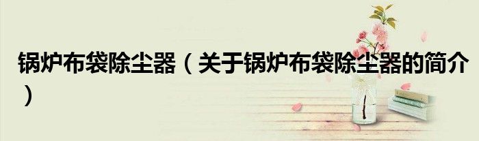 鍋爐布袋除塵器（關于鍋爐布袋除塵器的簡介）