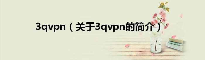 3qvpn（關于3qvpn的簡介）
