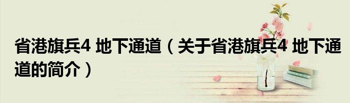 省港旗兵4 地下通道（關于省港旗兵4 地下通道的簡介）