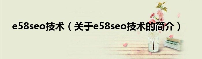 e58seo技術（關于e58seo技術的簡介）