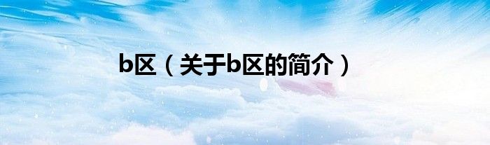 b區（關于b區的簡介）