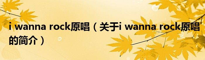 i wanna rock原唱（關于i wanna rock原唱的簡介）