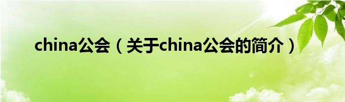china公會（關于china公會的簡介）