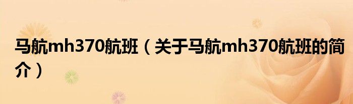馬航mh370航班（關于馬航mh370航班的簡介）