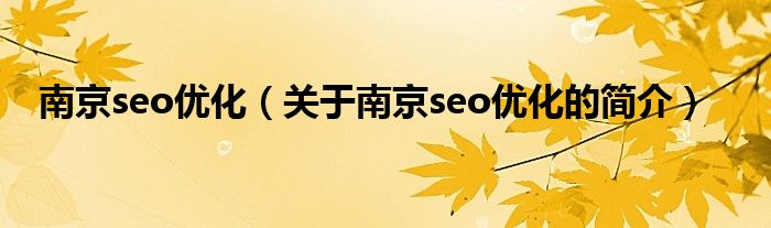 南京seo優化（關于南京seo優化的簡介）
