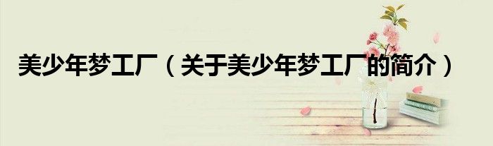 美少年夢工廠（關于美少年夢工廠的簡介）